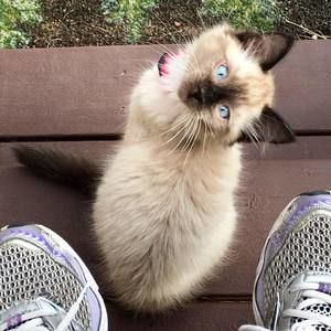 Meet your Posher, Tania